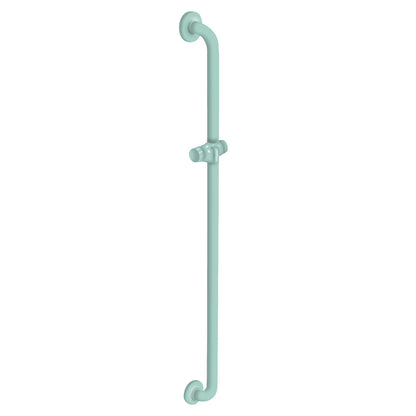 42 Inch Vertical Grab Bar with Shower Head Holder